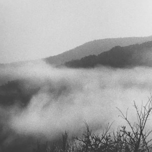 Photographie de Thérèse Pitte