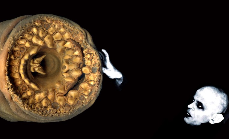 Sophie Marty Edward - Atelier TA - Installation - Photo